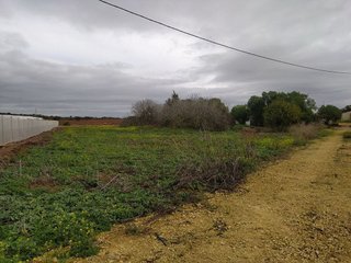 Casa rural en venta en Núcleo Urbano en Chiclana de la Frontera