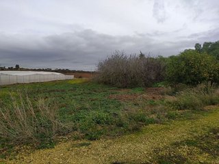 Casa rural en venta en Núcleo Urbano en Chiclana de la Frontera