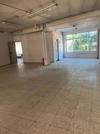 Nave industrial en alquiler en Tres Olivos - Valverde en Madrid