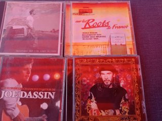 Lote 9 CDs Música Francesa y Rock