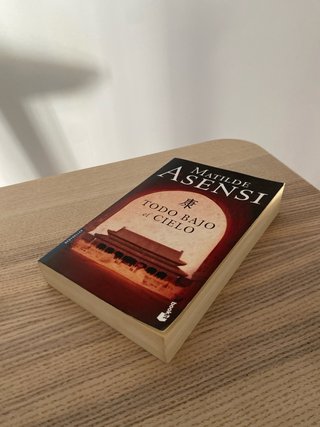 Todo bajo el Cielo