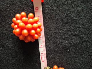 Pendientes vintage imitación coral naranja
