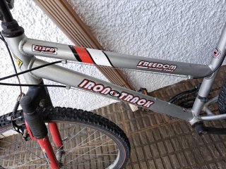 Bicicleta Iron Track Plata