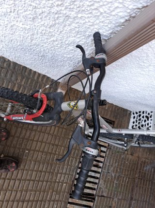 Bicicleta Iron Track Plata