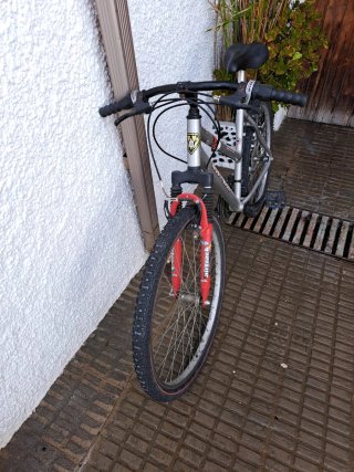 Bicicleta Iron Track Plata