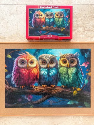 Puzzle Castorland 1000 Piezas Tres Pequeños Búhos