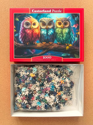 Puzzle Castorland 1000 Piezas Tres Pequeños Búhos