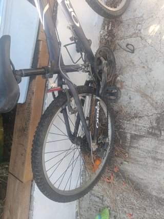 Bicicleta Orbea MX24