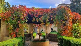 Terreno en venta en Arcos de la Frontera