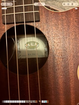 Ukelele Kala Ka-TE-C + estuche Rapsody.