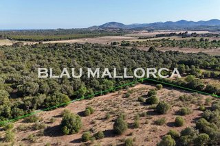 Terreno en venta en Sant Llorenç des Cardassar