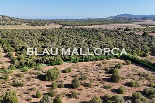 Terreno en venta en Sant Llorenç des Cardassar
