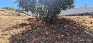 Terreno en venta en Cerros del Águila en Mijas