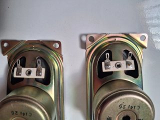 Pareja Altavoces Sharp Ovalados