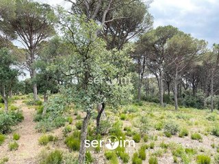 Terreno en venta en Caldes de Malavella