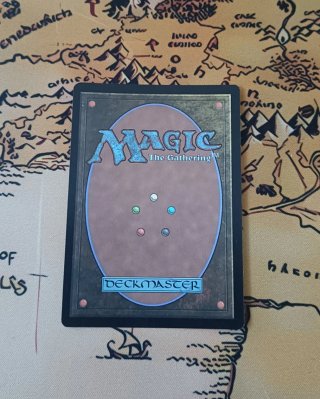CARTA MAGIC FOIL - CAMINANTE DE REINOS