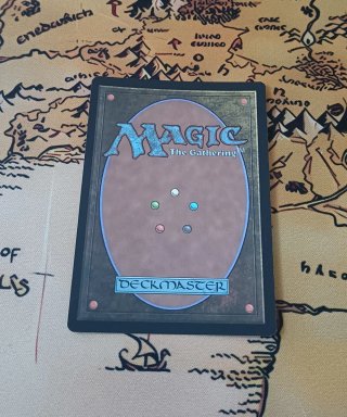 CARTA MAGIC FOIL - CAMINANTE DE REINOS