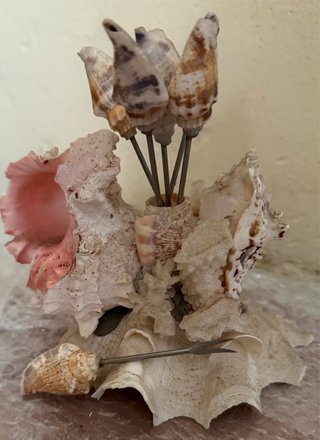 Palillero de caracolas y coral