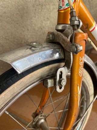 Bicicleta BH Vintage Naranja