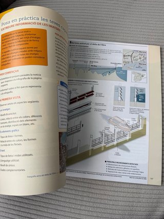 Educació visual i plàstica, nivel II ESO