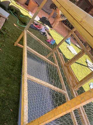 Gallinero de madera con techo transparente
