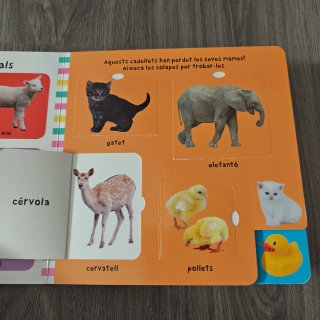 Les meves primeres 50 paraules