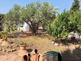 Chalet en venta en Calles