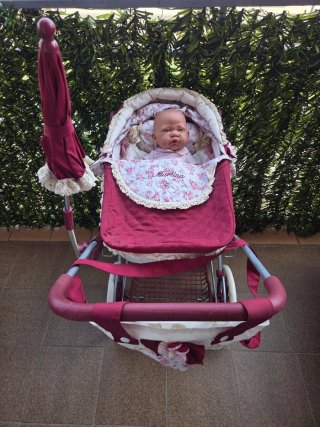 Carrito de bebé con muñeca