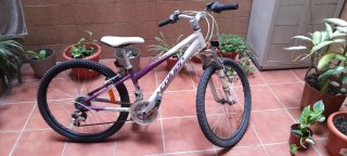 Tres bicicletas