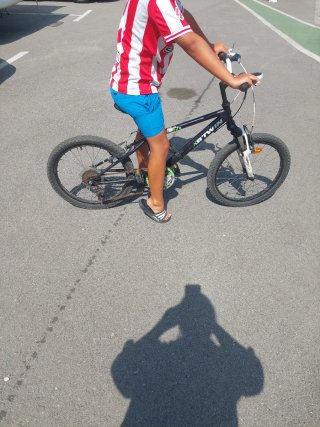Bicicleta infantil 20 BTWIN