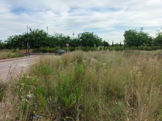 Terreno en venta en Alginet