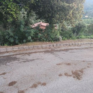 Terreno en venta en Arbúcies