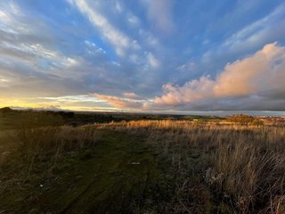 Terreno en venta en Moraleja de Enmedio