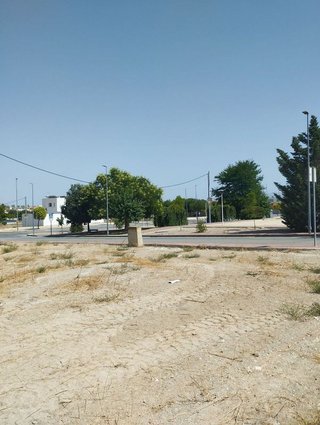 Terreno en venta en Bullas