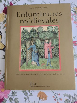 Enluminures médiévales mémoires et merveilles d...