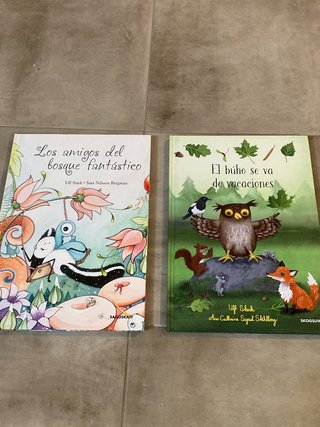 Libro ilustraciones infantiles