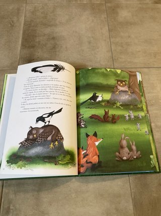 Libro ilustraciones infantiles