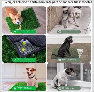 Alfombrilla césped artificial para perros