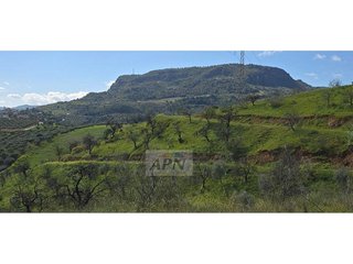 Solar en venta en Álora