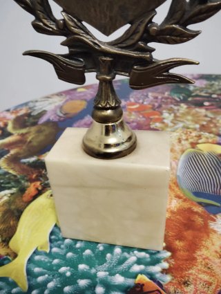 Trofeo deportivo Monforte 1990