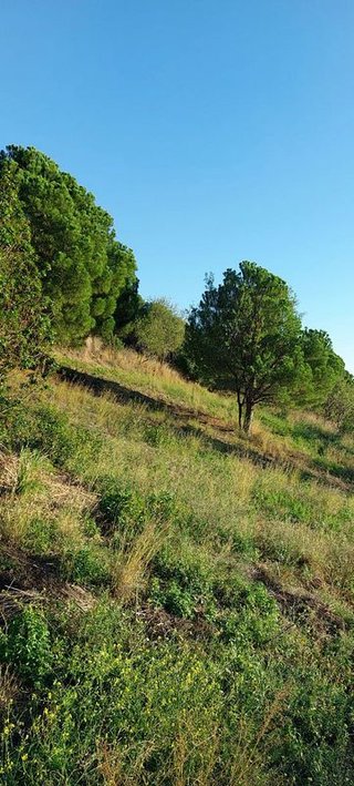 Terreno en venta en Calella