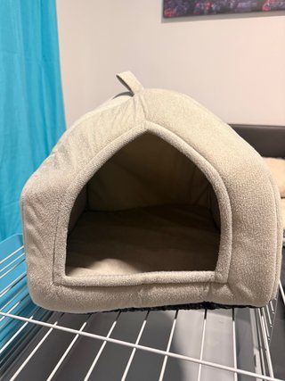 Kit completo para cobaya/cuyo
