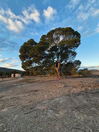 Casa en venta en Bullas