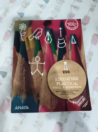 Educación Plástica, Visual y Audiovisual Nivel ...