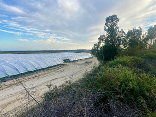 Terreno en venta en Rociana del Condado