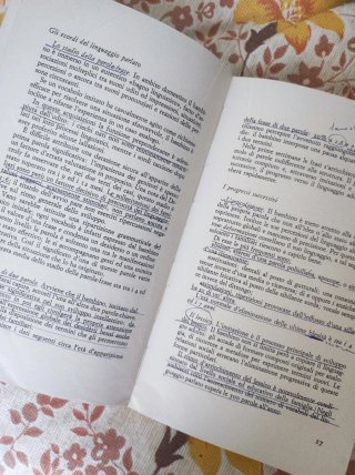 “ Manuale di psicologia del fanciullo ”