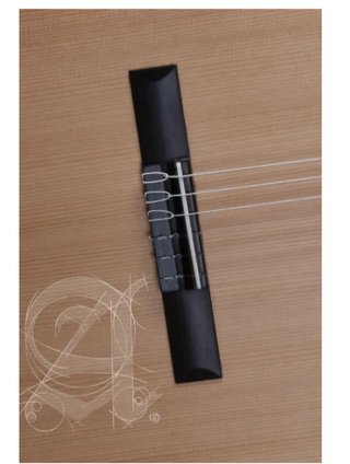 Guitarra Clásica Alhambra Z-Nature + Funda