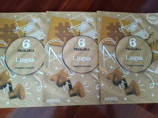 Libros lingua galega sexto de primaria