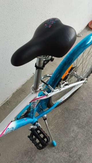 Bicicleta B'Twin 24 pulgadas