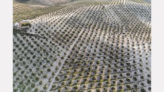 Terreno en venta en Torre del Campo